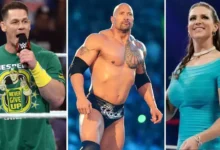 Best Male WWE Wrestlers in the World